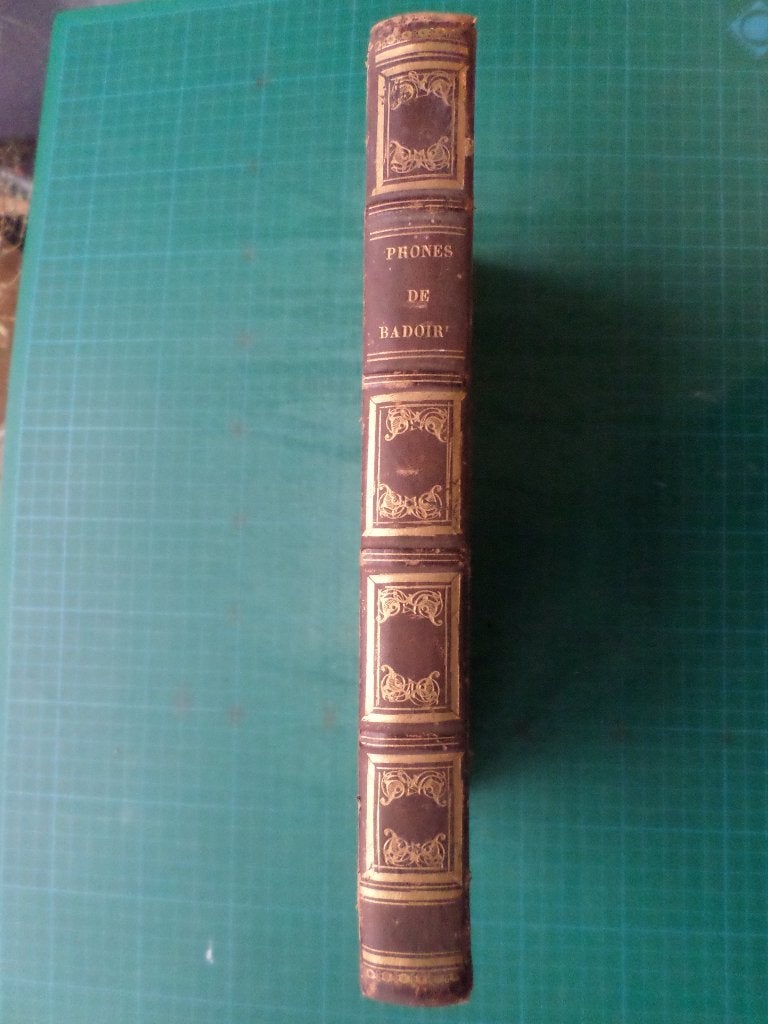 Prones pour les dimanches et fêtes (Badoire) – 1844, Gelezen, Christendom | Katholiek, Ophalen of Verzenden, Badoire