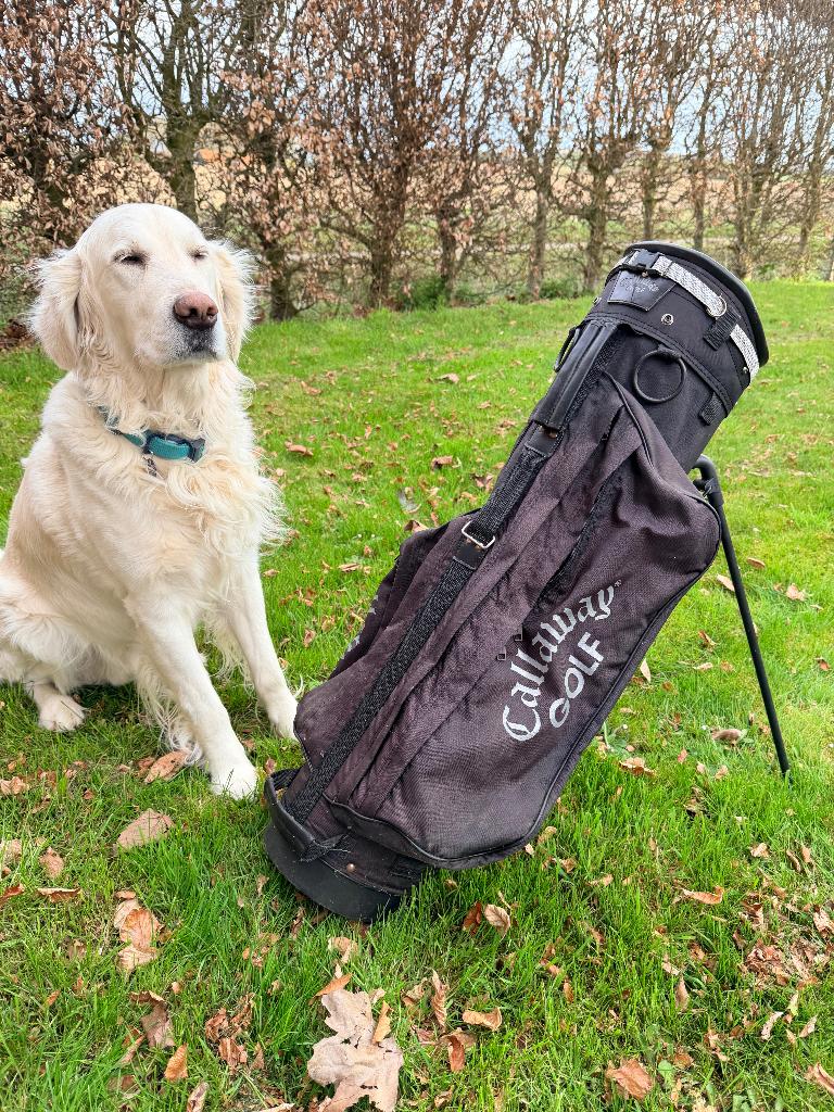 Golftas Callaway Super staat Zwart tripod, Ophalen of Verzenden, Gebruikt, Tas, Callaway