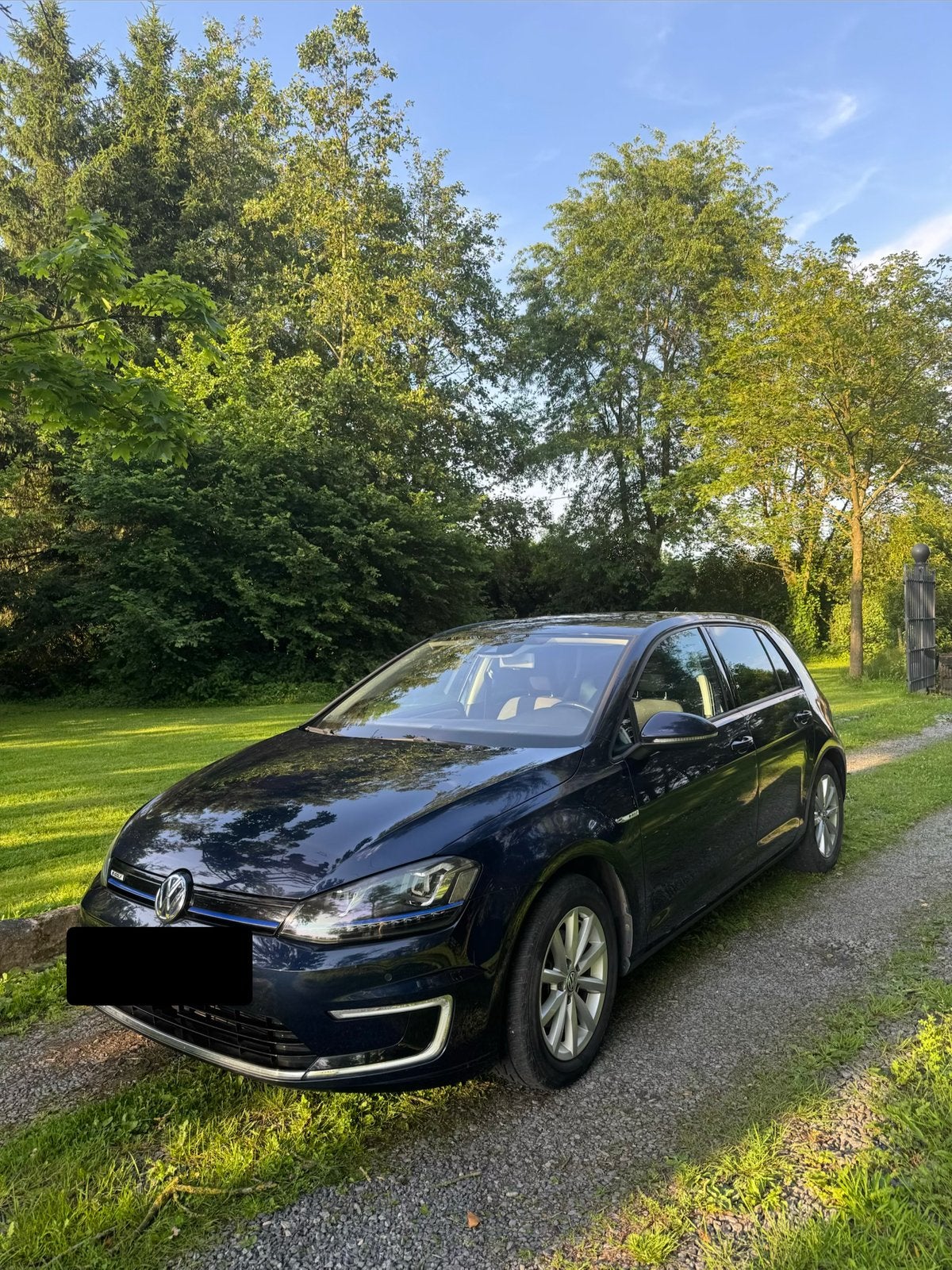 Blauwe e-golf volledig elektrisch, Autos, Volkswagen, Particulier, Golf, Électrique, Bleu, Enlèvement