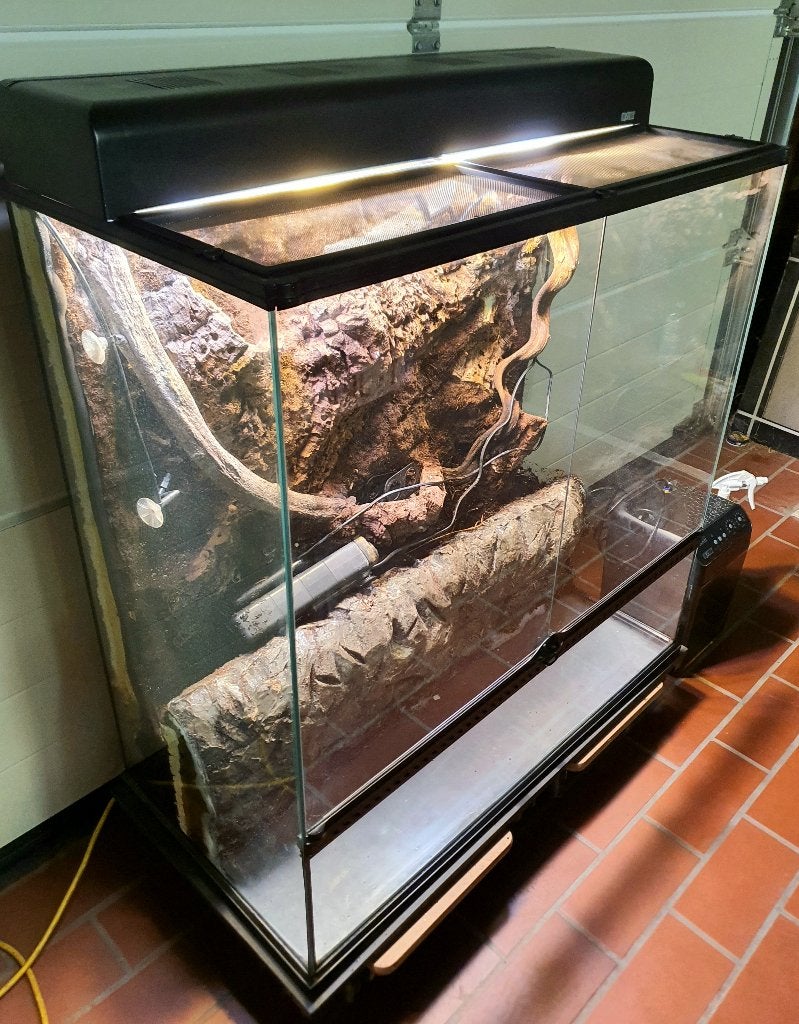 Exo terra 90 x 90 x 45 inclusief achterwand en lampenkap, Dieren en Toebehoren, Ophalen, Gebruikt, Terrarium of Paludarium