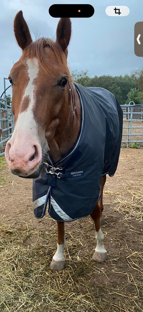 Horseware amigo 0g deken met afbeembare hals, Ophalen of Verzenden, Zo goed als nieuw, Deken, Amigo