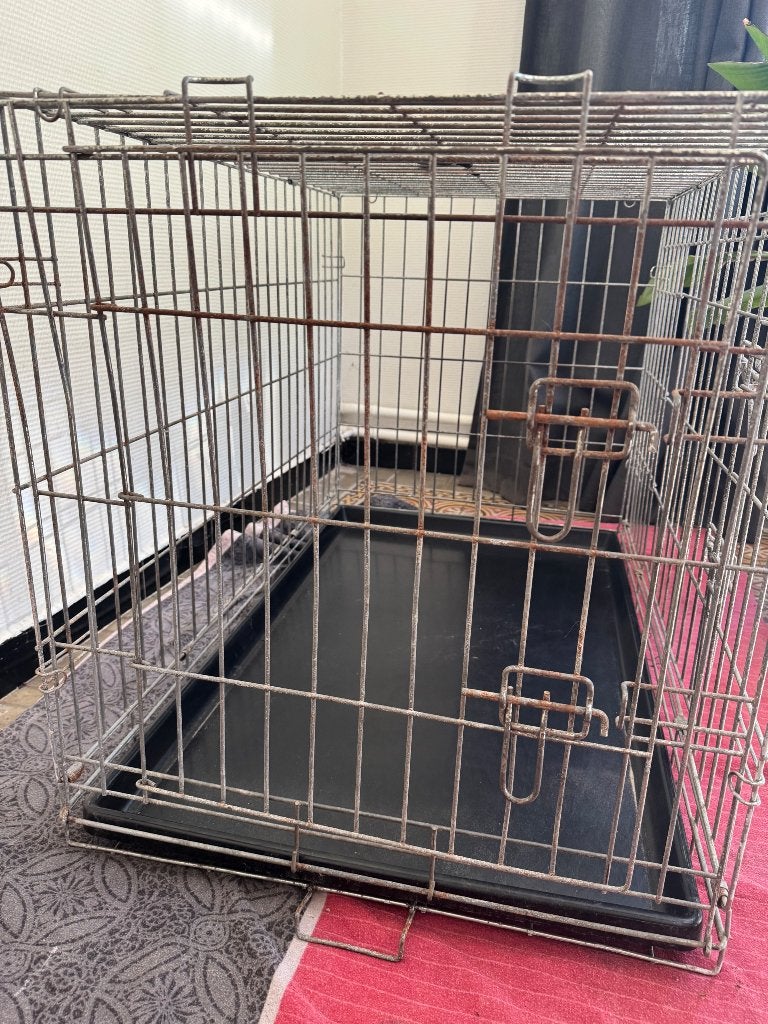 Honden bench, Dieren en Toebehoren, Ophalen, Gebruikt