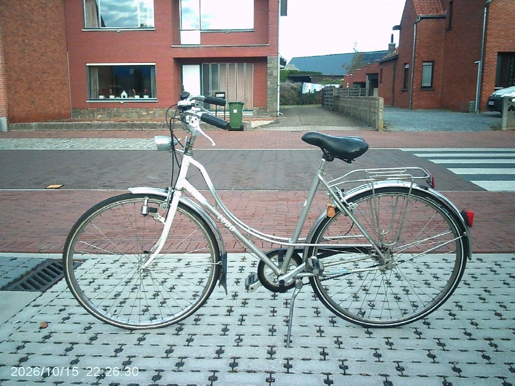 DAMESFIETS LUDO, Gebruikt, Velgrem, Versnellingen, Ophalen