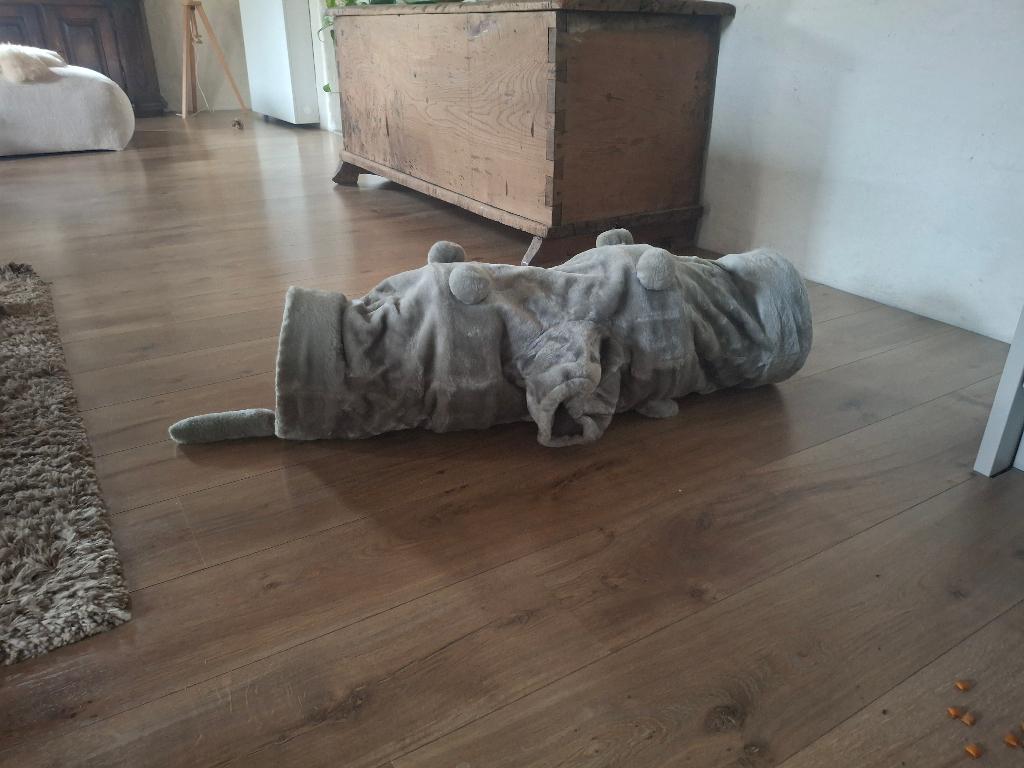 Kattenspeelgoed, Dieren en Toebehoren, Katten-accessoires, Ophalen, Gebruikt