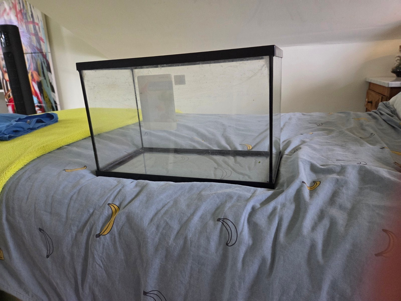 aquarium 20L, Enlèvement, Comme neuf