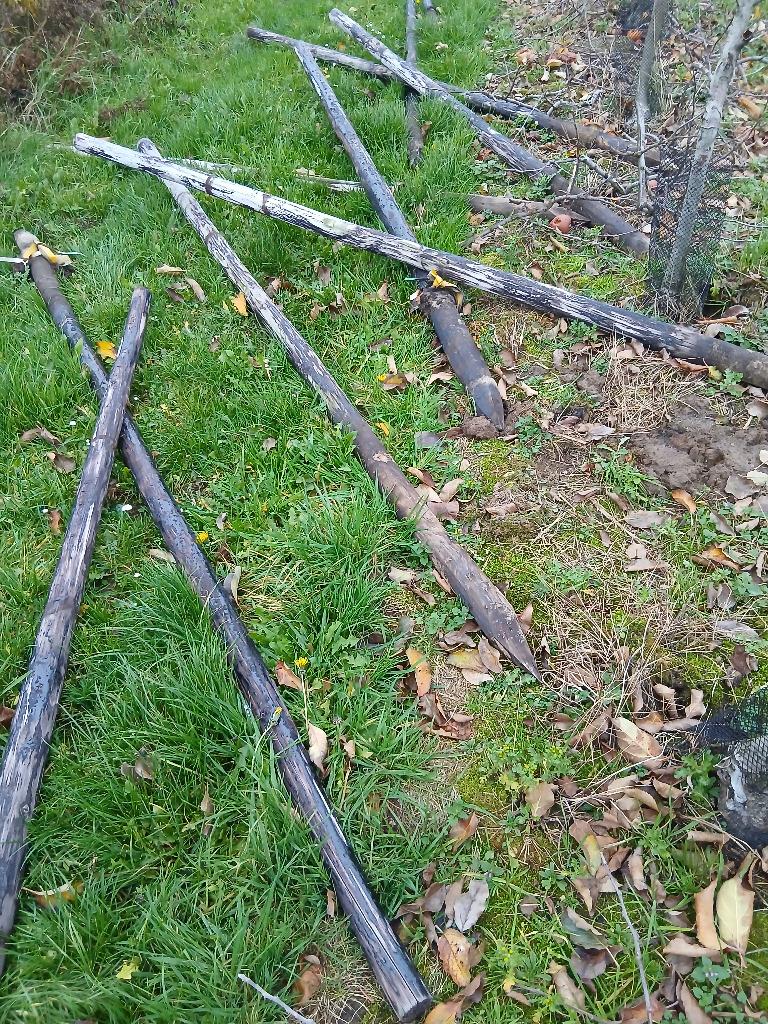 houten palen uit boomgaard, Enlèvement, Utilisé, 250 cm ou plus, Poteaux