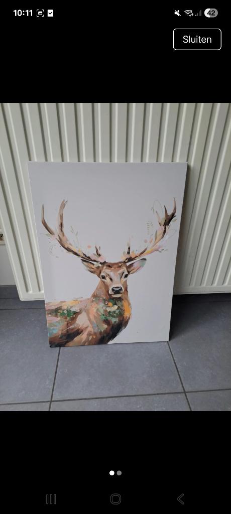 Canvas rendier, Gebruikt, Meerkleurig, Ophalen of Verzenden, Kunststof