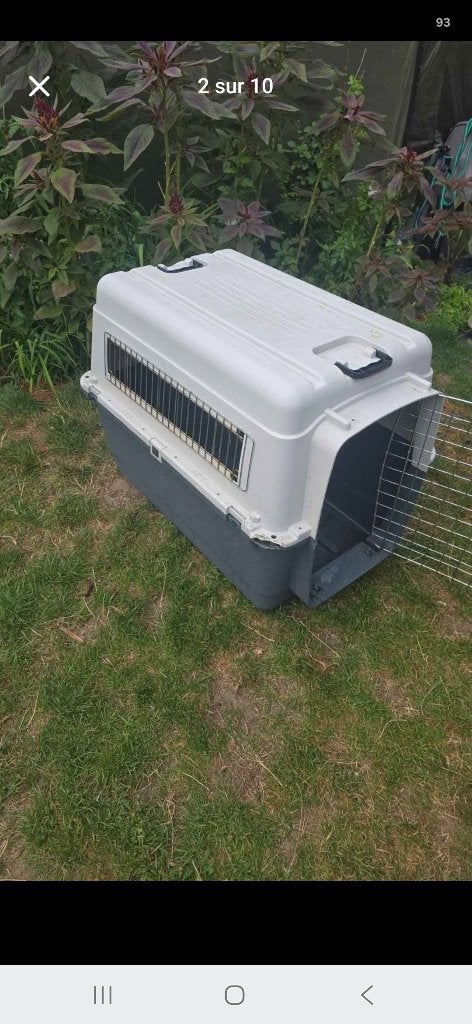Cages de transport chien, Ophalen, Gebruikt