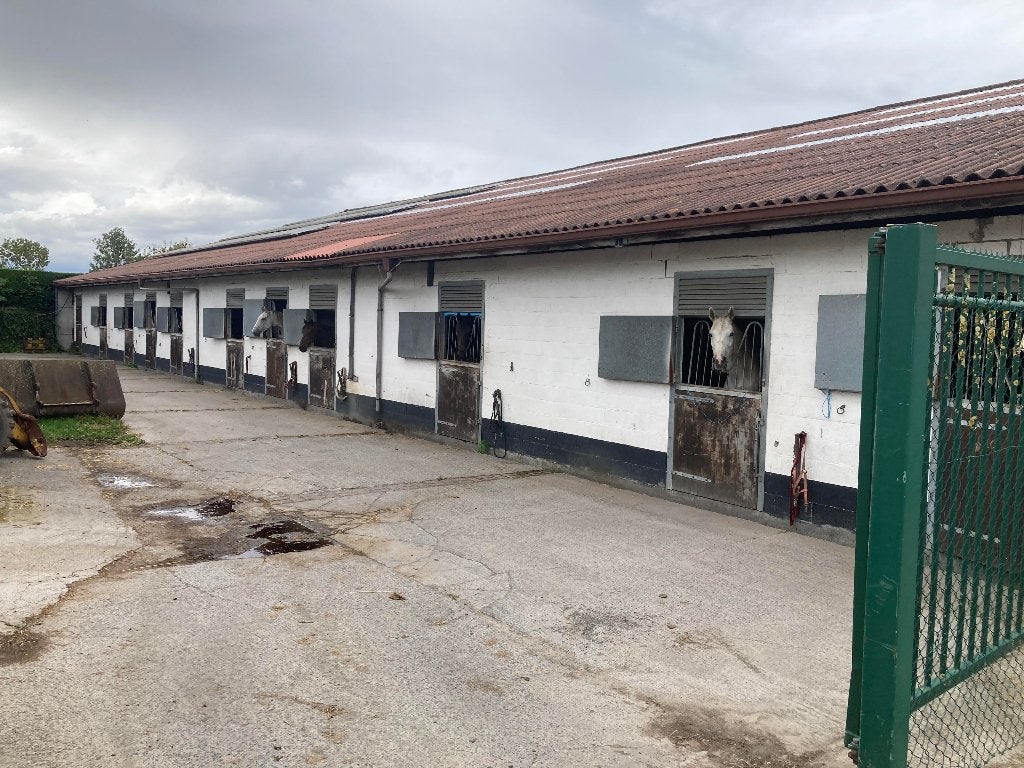paardenstal in eigen beheer, Stalling, 2 of 3 paarden of pony's
