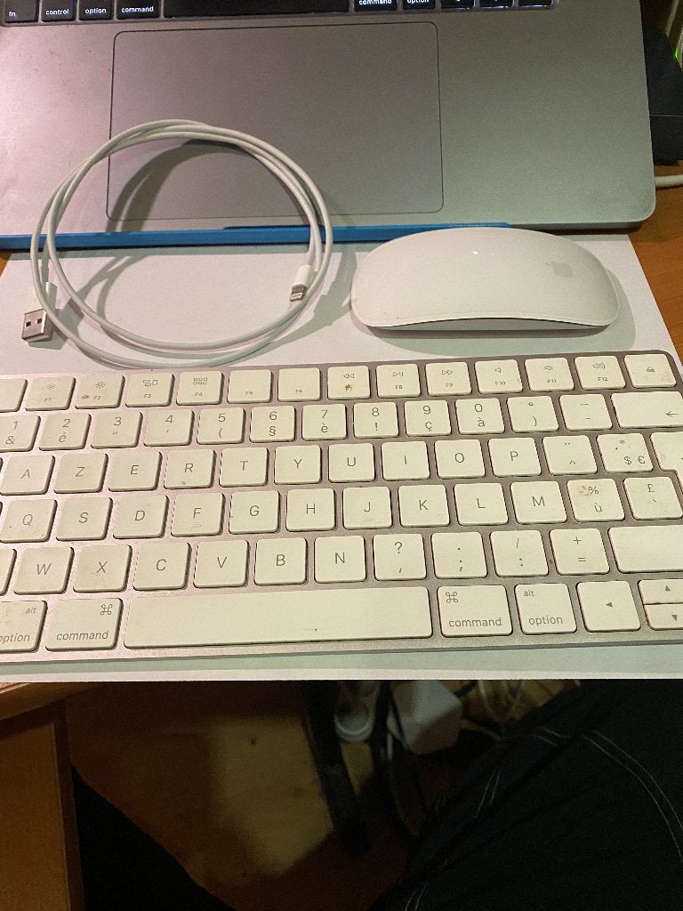 Apple Magic Mouse + Magic Keyboard, Azerty, Comme neuf, Apple, Sans fil