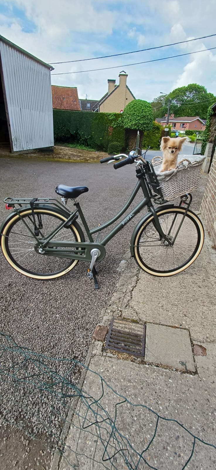 Popal Daily Dutch Prestige N3 – Army Green – quasi nieuw, Enlèvement, Comme neuf, Vitesses
