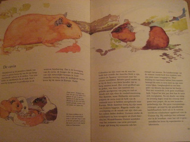 Leerrijk dierenboek ”Dieren in en om het huis”, Boeken, Zomer & Keuning - EDE, Ophalen of Verzenden, Zo goed als nieuw, Overige diersoorten