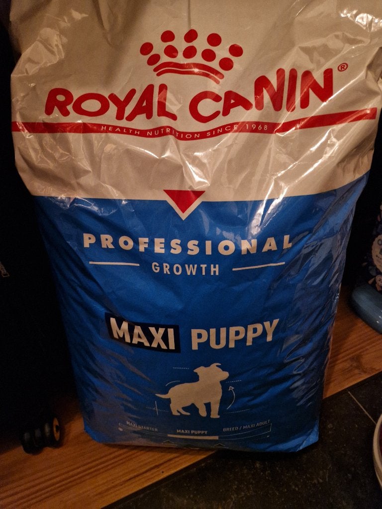 Royal Canin puppy maxi, Animaux & Accessoires, Enlèvement ou Envoi, Chien