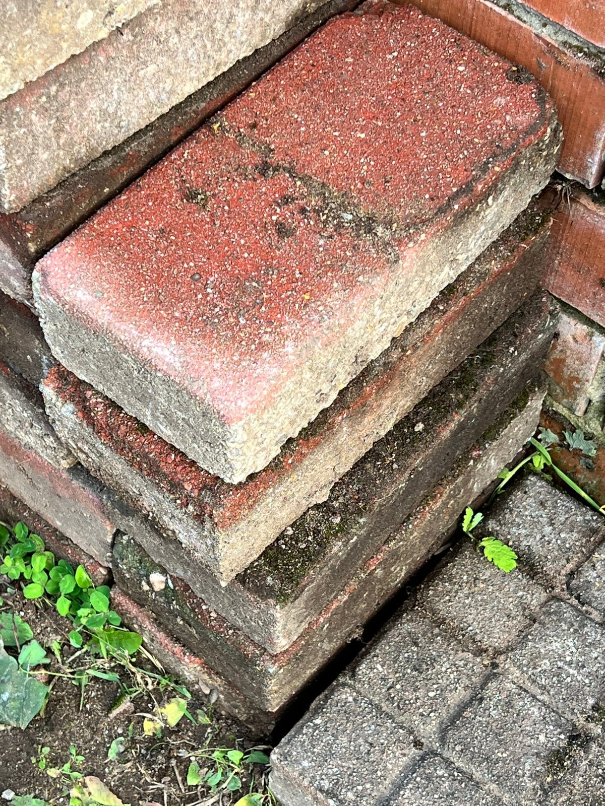 Pavés 30 x 15 x 8,3 cm, Jardin & Terrasse, Enlèvement, Comme neuf, Briques