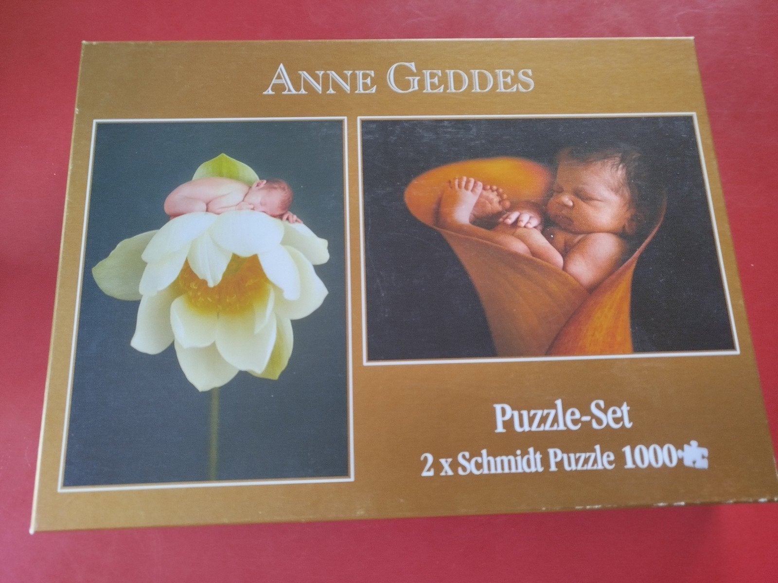 Puzzel anne geddes, Enlèvement