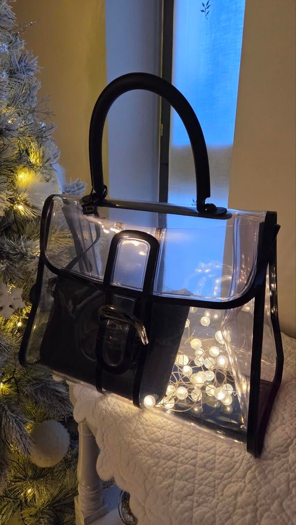 Sac Delvaux "Modèle Brillant" X-Ray, édition limitée, Enlèvement