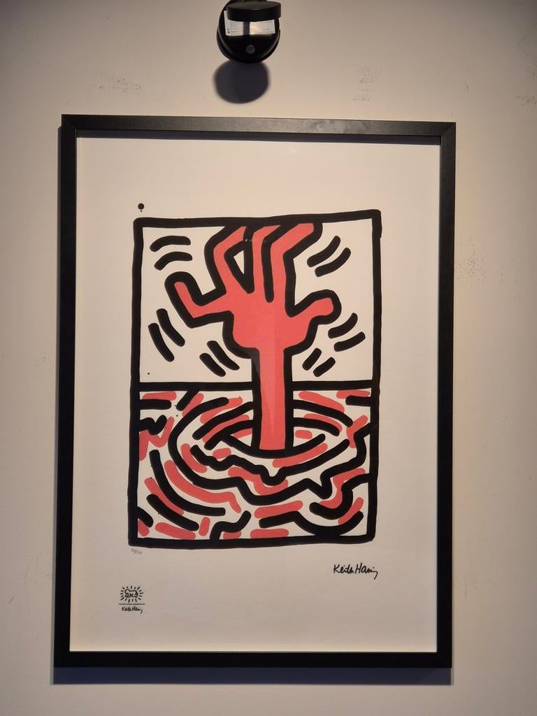 Keith Haring Litho, Enlèvement