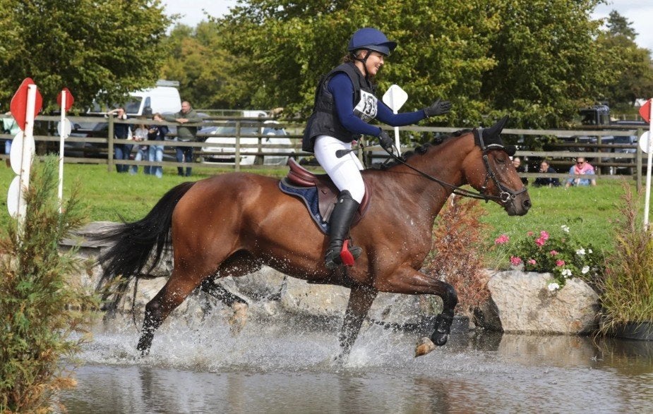 Knappe, veelzijdige, jonge sport merrie, Avec pedigree, L, 160 à 165 cm, Cheval de saut