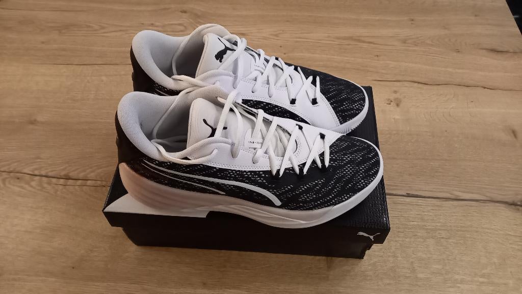 Puma basketbal schoenen maat 43, Vêtements | Hommes, Chaussures, Neuf, Puma, Enlèvement ou Envoi, Chaussures de sport