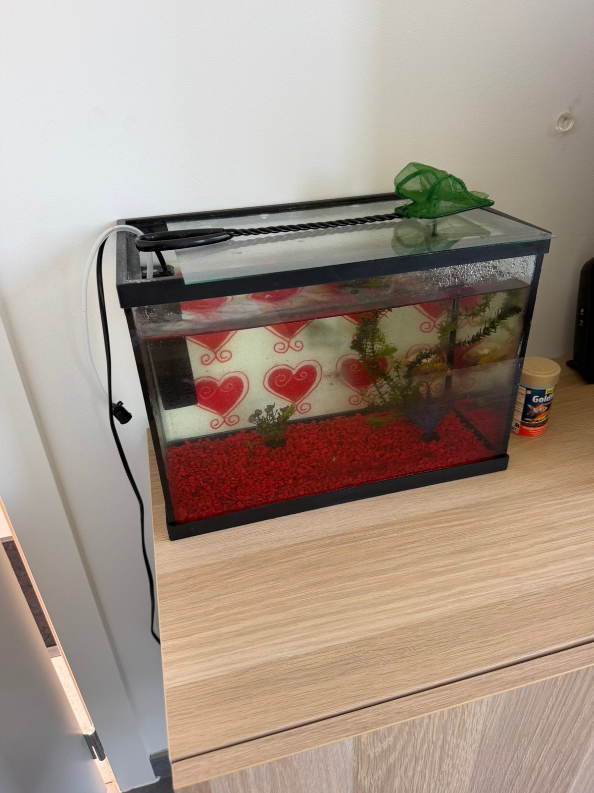 Aquarium, Ophalen, Zo goed als nieuw