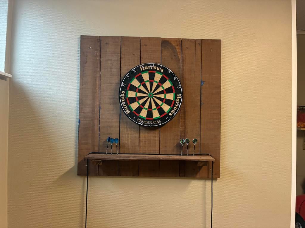Dartbord + achterwand + pijltjes, Sport en Fitness, Ophalen, Zo goed als nieuw, Dartbord