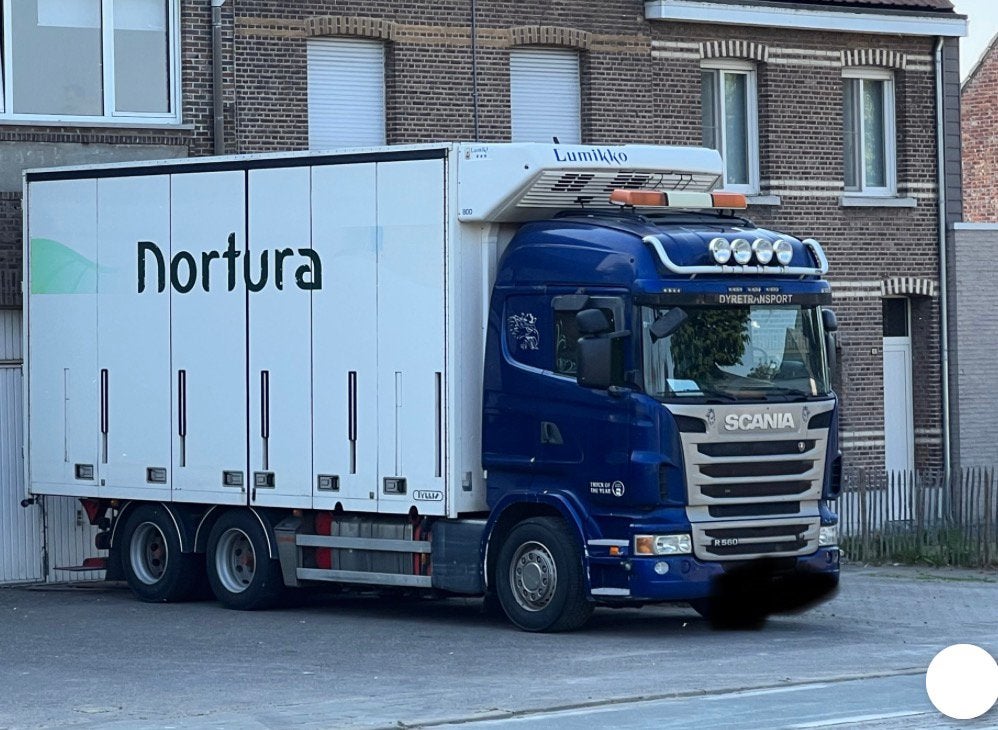 Scania R560 V8 6x4 à vendre, Autos, Euro 5, Achat, Scania, Noir