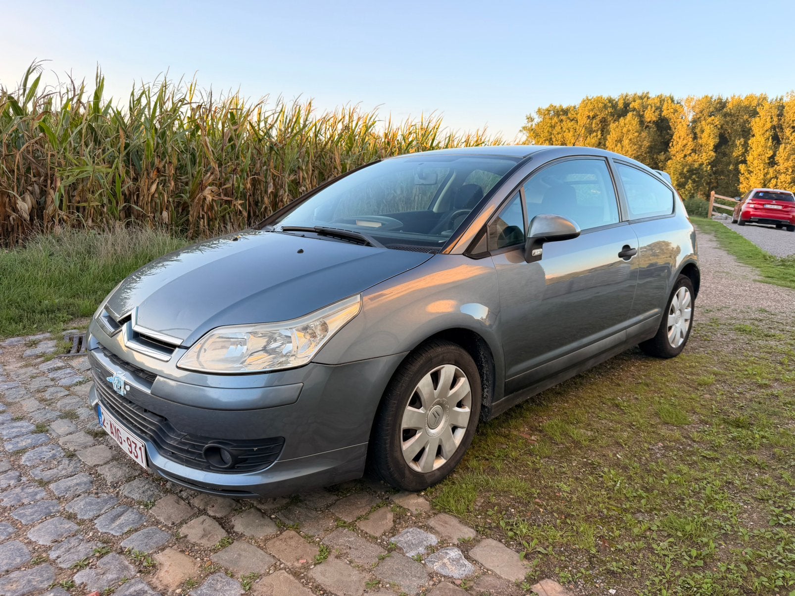 Citroën C4 Coupé déjà homologué pour la vente, Autos, Argent ou Gris, Achat, Boîte manuelle, Diesel