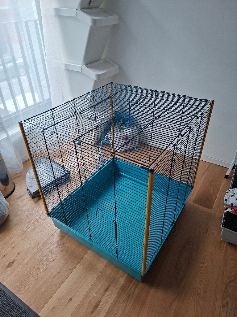 Cage Furet XL Ferplast, Cage, Enlèvement, 60 à 90 cm, Écureuil