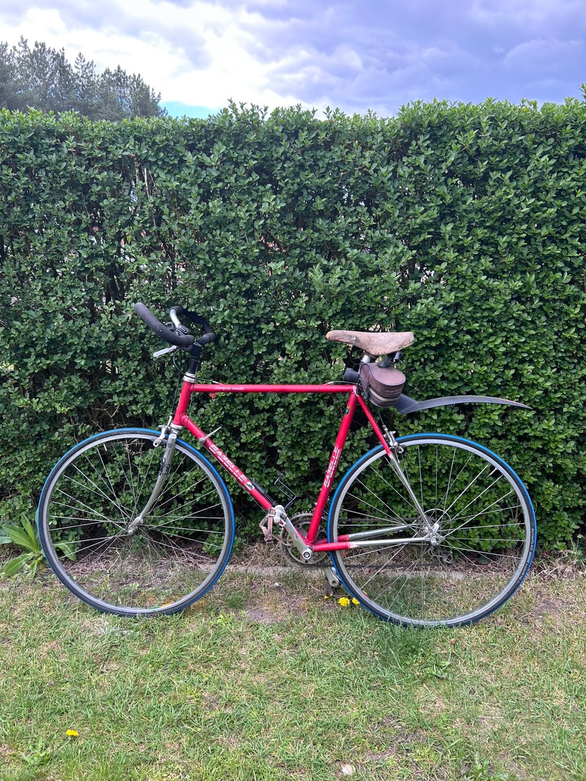 Gazelle koersfiets, Fietsen en Brommers, Ophalen, Zo goed als nieuw, Gazelle