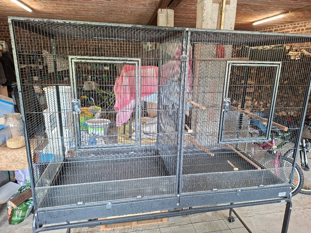 cage à oiseaux, Animaux & Accessoires, Oiseaux | Cages & Volières, Utilisé, Cage à oiseaux, Métal, Enlèvement