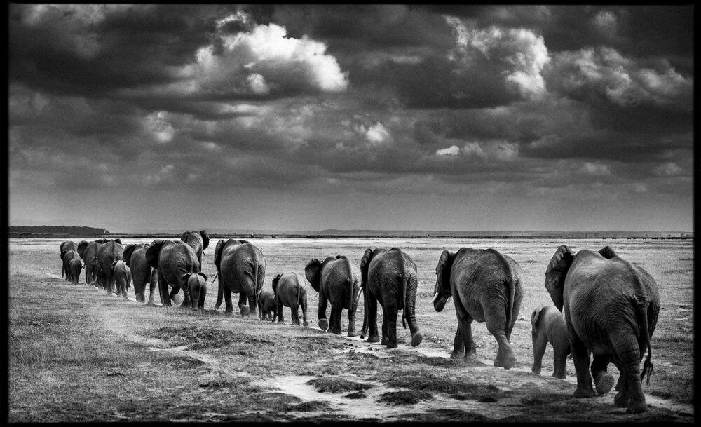 Photo XXL Yellow Korner Yellowkorner Crossing the Plains II, Enlèvement