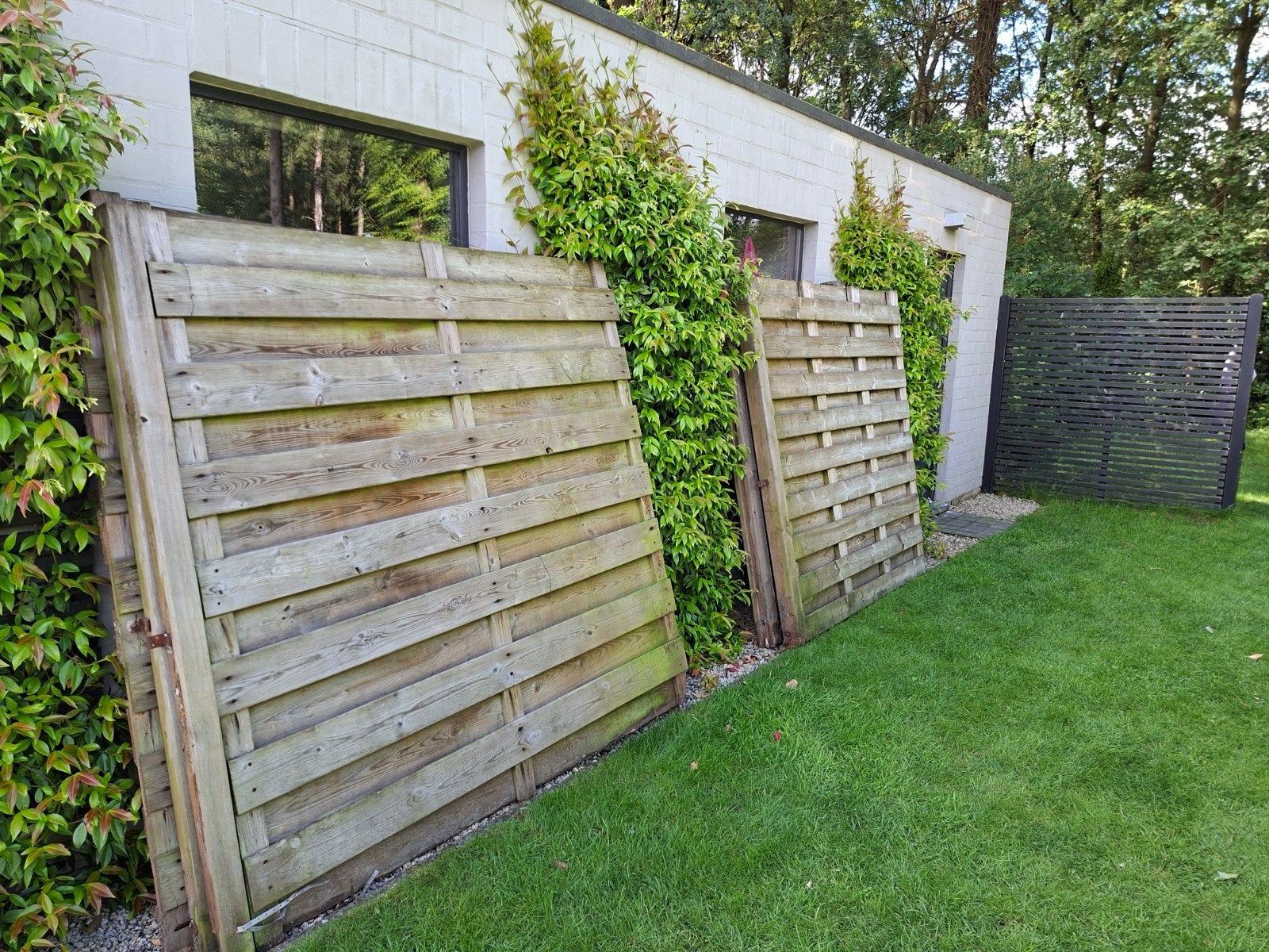 Gratis, 5 oudere hekken, Ophalen, Gebruikt