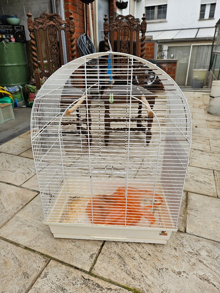 Cage a oiseaux 70H 52L 34P, Enlèvement ou Envoi