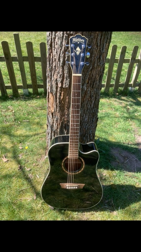 Washburn, Muziek en Instrumenten, Ophalen of Verzenden, Zo goed als nieuw, Met koffer