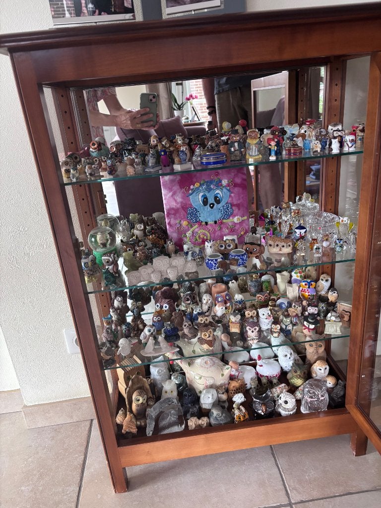 Collection de Hiboux, Enlèvement, Comme neuf, Oiseaux, Statue ou Figurine