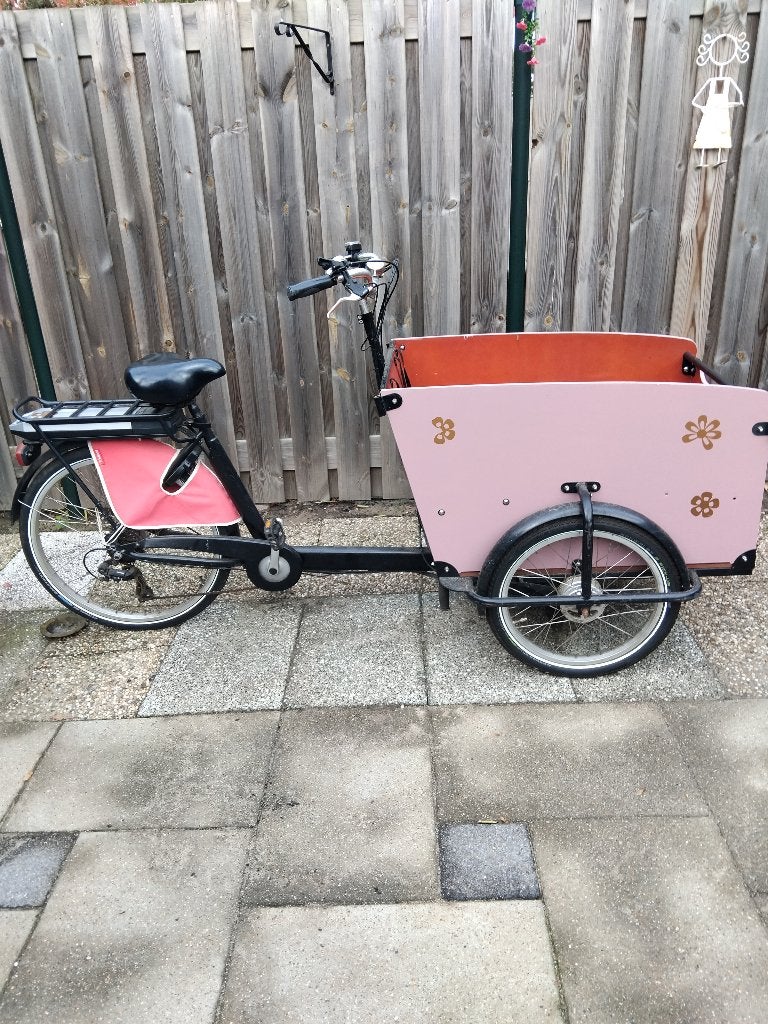 Bakfiets  electrische, Fietsen en Brommers, 4 kinderen of meer, Gebruikt, Elektrisch, Ophalen