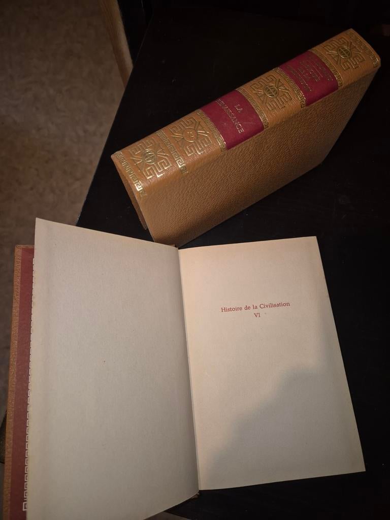 Histoire de la Civilisation à donner., Livres, Enlèvement