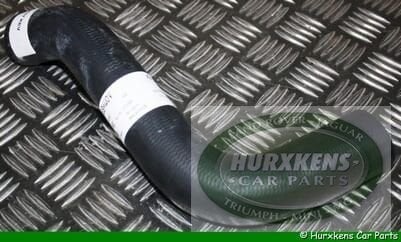 Onderste radiateurslang - radiateur naar waterpomp  Jaguar D, Auto-onderdelen, Motor en Toebehoren, Jaguar, Nieuw, Ophalen of Verzenden