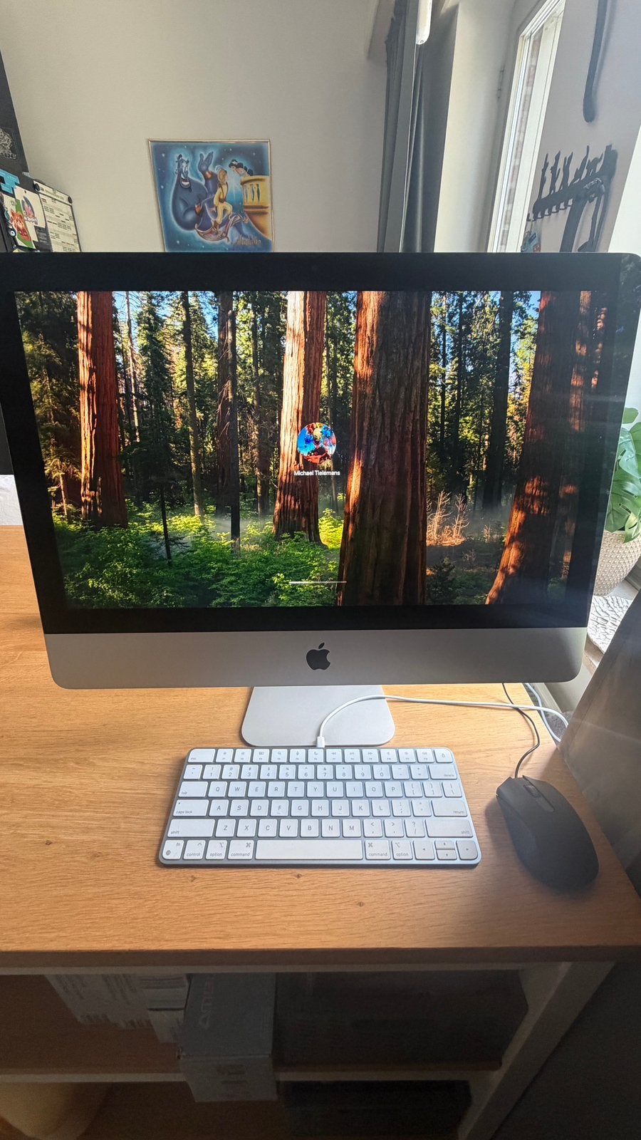 Apple iMac 21.5" (19)Prachtig Retina 4K Scherm macOS Sequoia, Computers en Software, Apple Desktops, Ophalen, IMac, Zo goed als nieuw