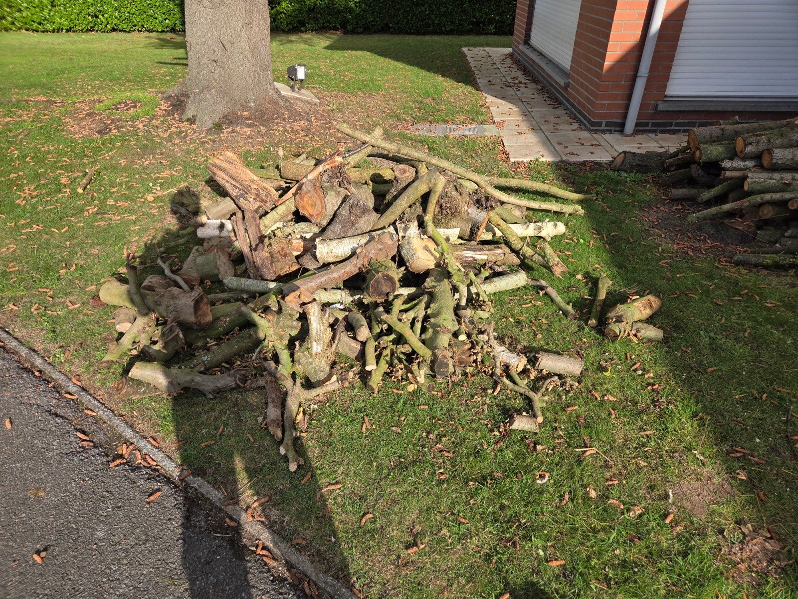 gratis brandhout., Ophalen