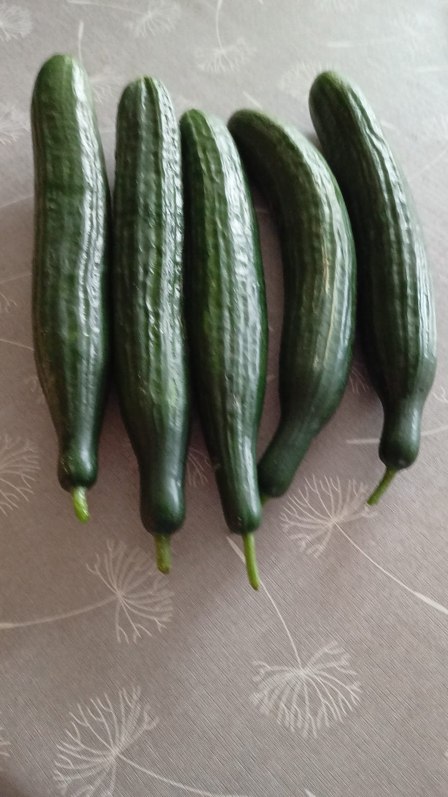 Verse komkommers, Divers, Produits alimentaires, Enlèvement