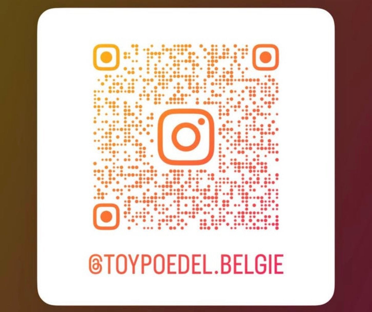 Toy poedel dekreu, 3 à 5 ans, Particulier, Chien (mâle), Caniche