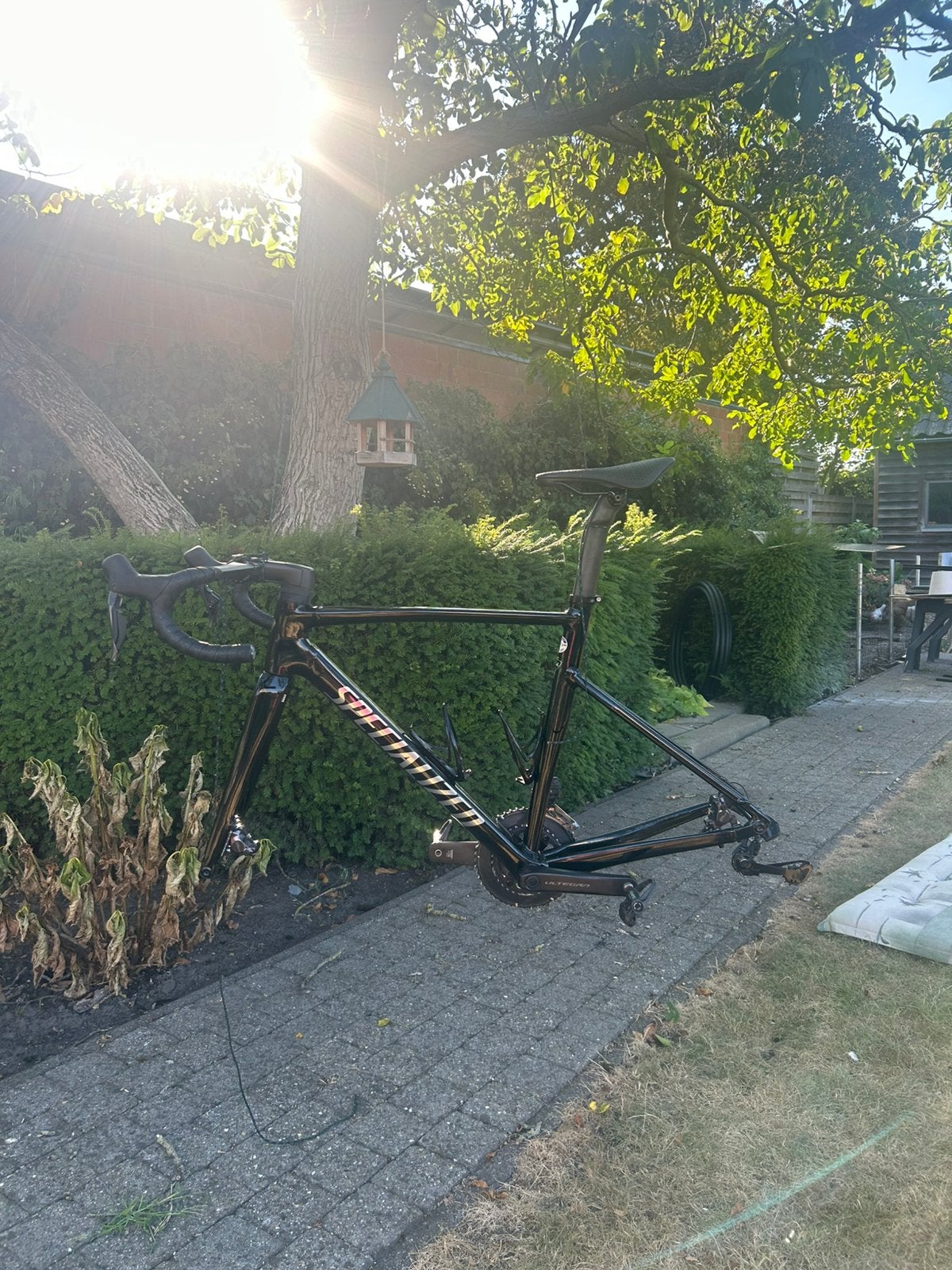 Specialized Allez Sprint – Ultegra Di2  – Maat 54, Fietsen en Brommers, Ophalen, Zo goed als nieuw