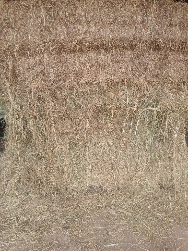 hooi te koop, Enlèvement