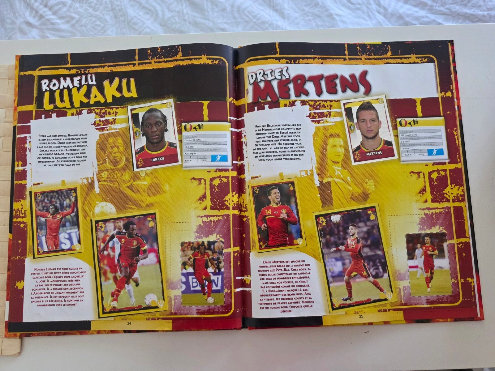 Panini stickeralbum carrefour WK 2014, compleet, Verzamelen, Ophalen of Verzenden
