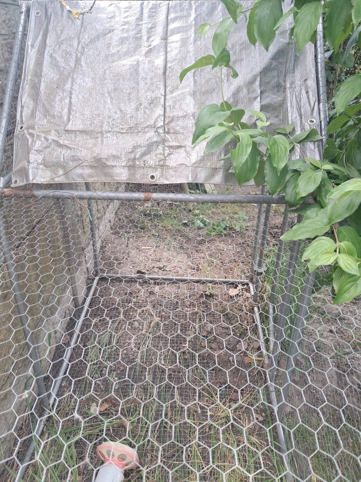 koi voor kippe 1x geberuikt voor kuikens  40eur, Dieren en Toebehoren, Ophalen