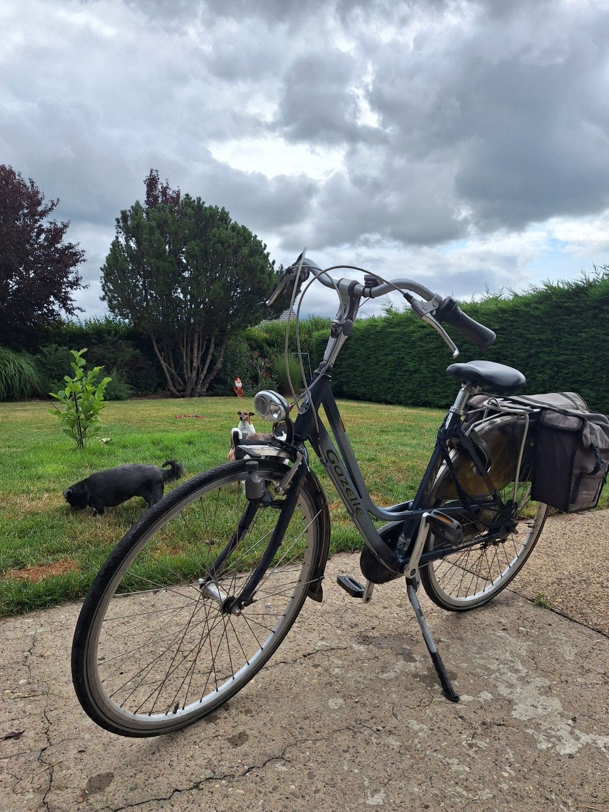 Gazelle damesfiets 7 versnellingen, Ophalen, Gebruikt, Velgrem, Versnellingen