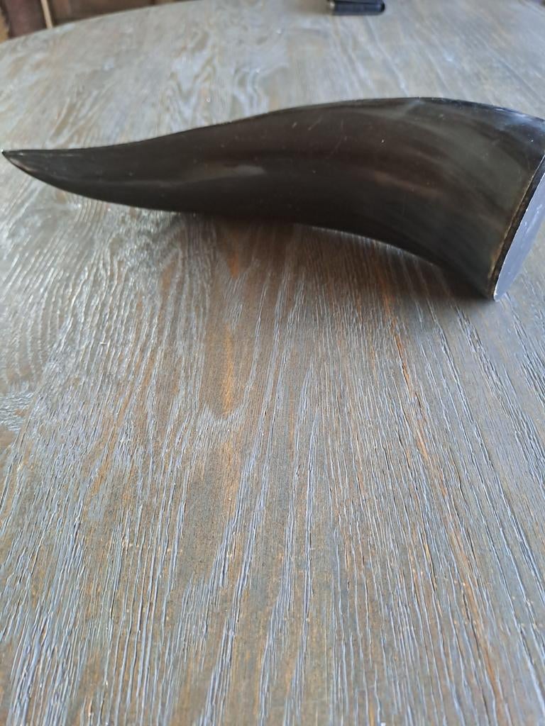 Corne de buffle d'eau, 36 cm, Autos : Pièces & Accessoires, Enlèvement