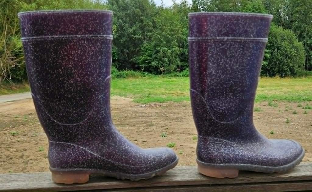 Bottes de pluie "caoutchouc" à paillettes pointure 32, Enlèvement ou Envoi, Utilisé, Bottes, Garçon ou Fille