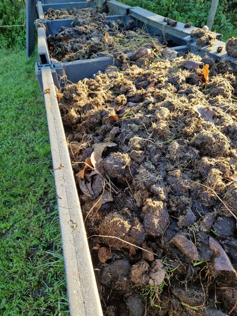 Fumier de cheval biologique GRATUIT sans paille - Weerde, Jardin & Terrasse, Enlèvement, Fumier